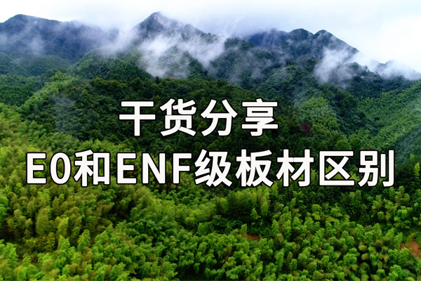 E0和ENF级板材有什么区别.jpg